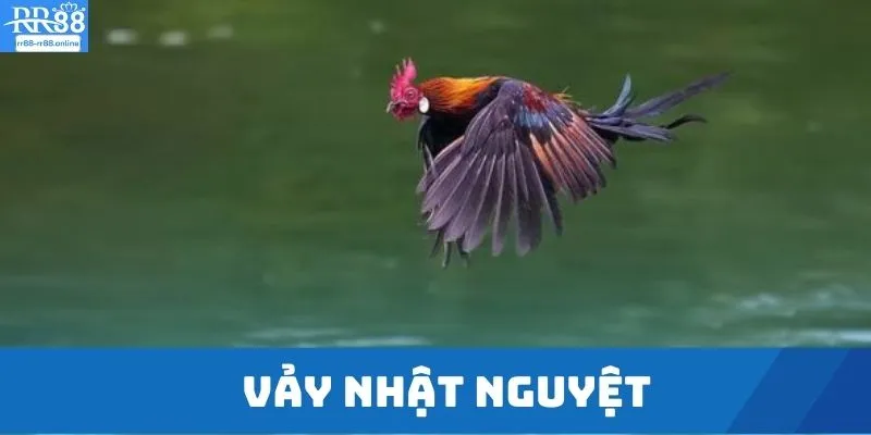 Vảy nhật nguyệt